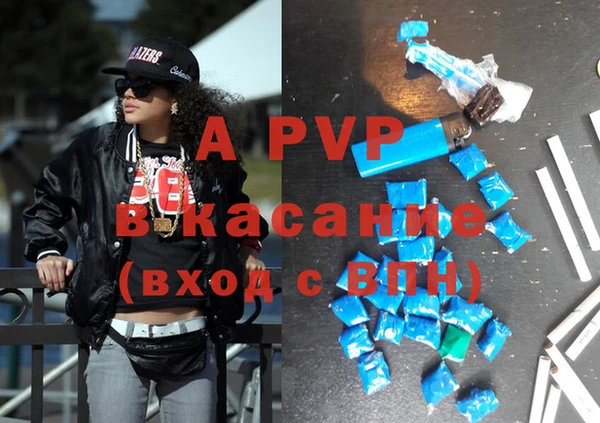 крисы Аркадак