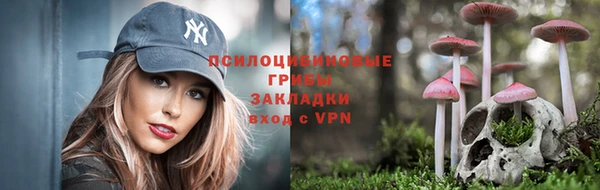герыч Арсеньев