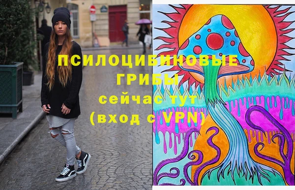 PSILOCYBIN Сатка