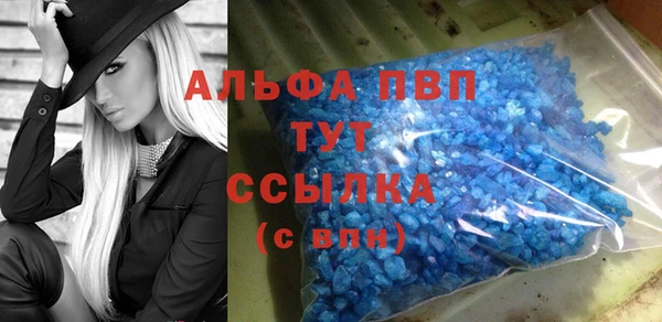 крисы Аркадак